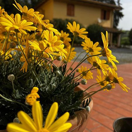 Agriturismo La Cerbana 帕拉亚 外观 照片