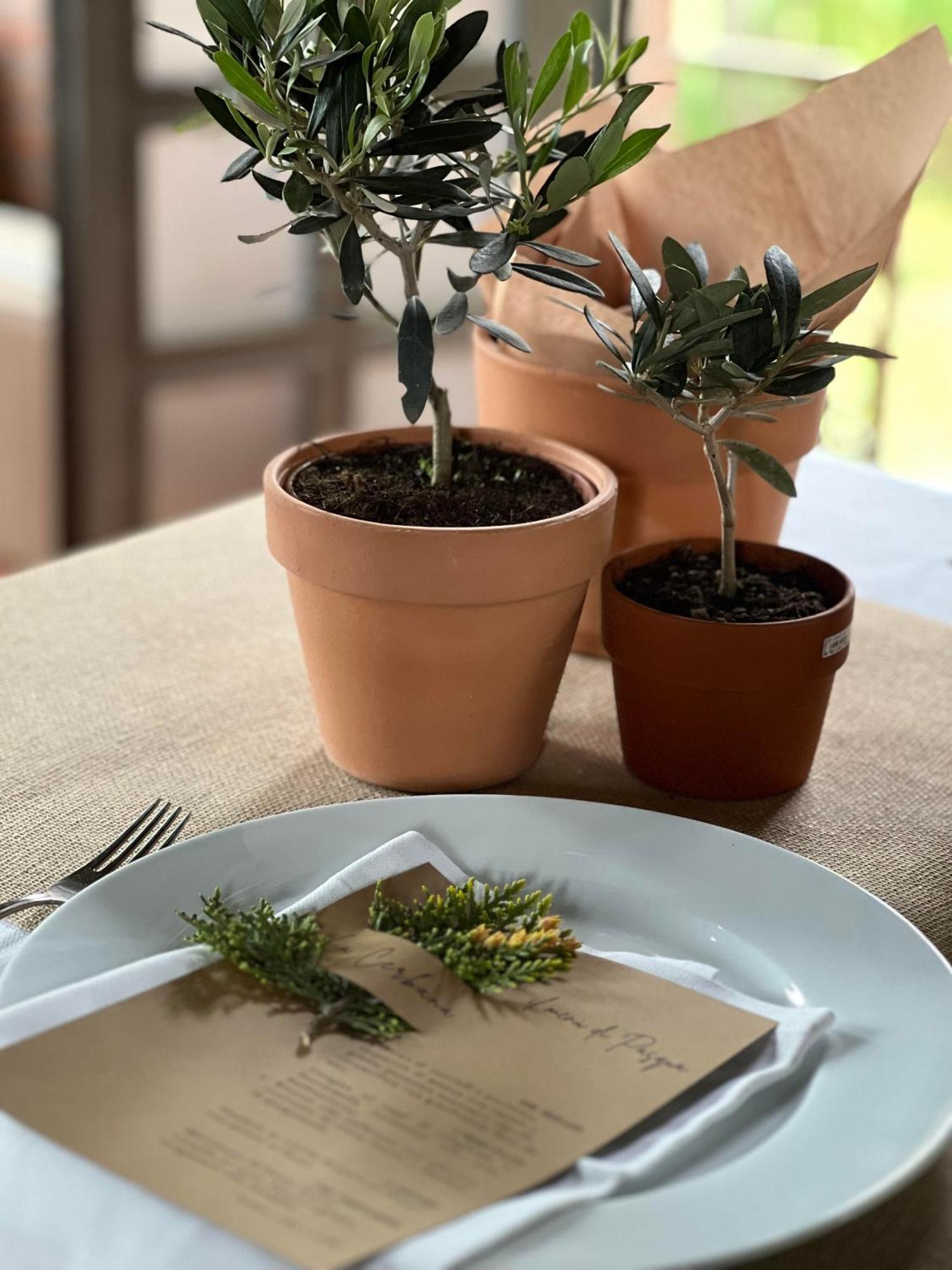 Agriturismo La Cerbana 帕拉亚 外观 照片