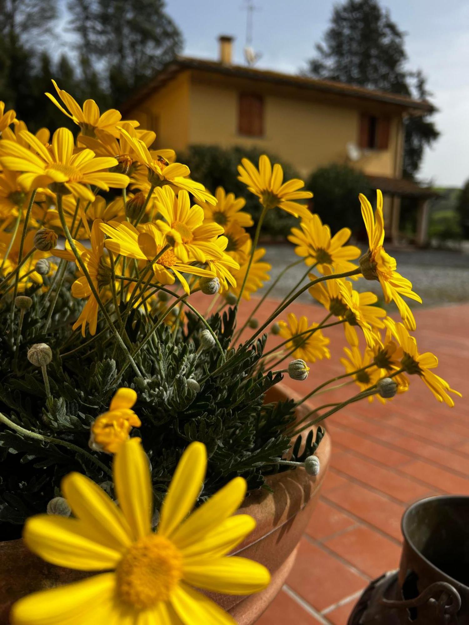 Agriturismo La Cerbana 帕拉亚 外观 照片